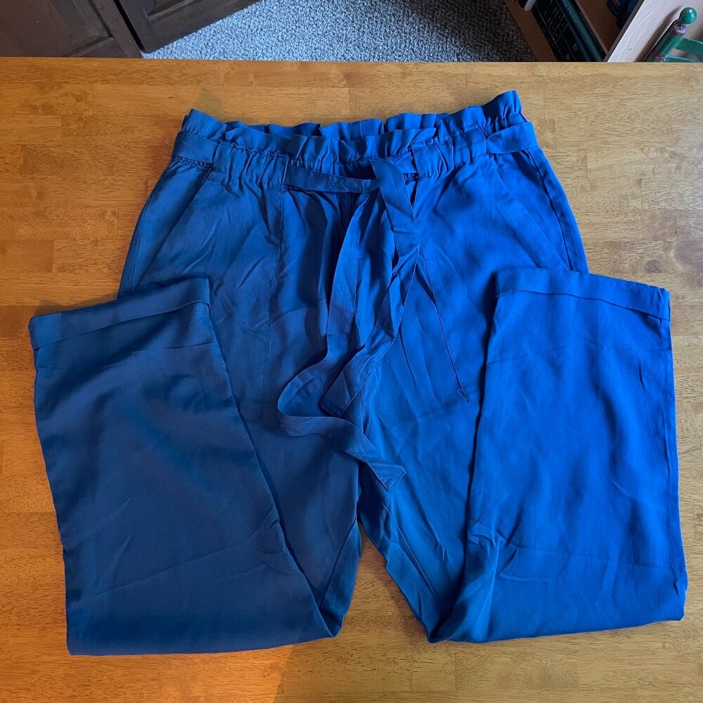 Size 14 H&M blue pants - new without tags - Picture 7 of 9